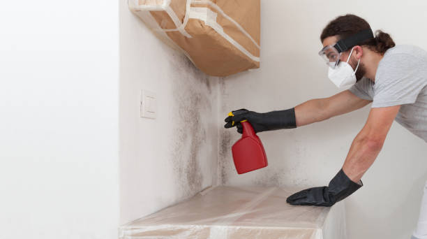 Professional Bathroom Mold Removal technician working in Lake Worth Beach, FL